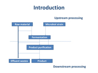 Downstream Photo Down stream Processing (Lecture 6) | PDF