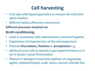 Down stream Processing (Lecture 6) | PPT