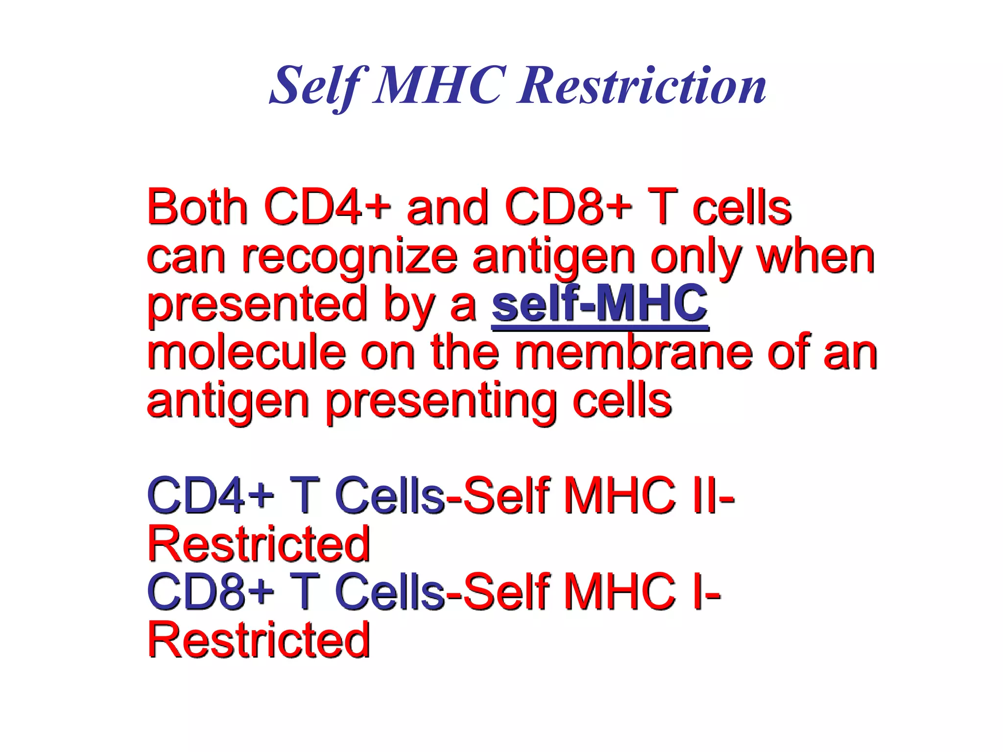 Antigen Recognition | PPT