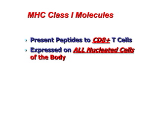 MHC Class I Molecules
• Present Peptides to CD8+ T Cells
• Expressed on ALL Nucleated Cells
of the Body
 