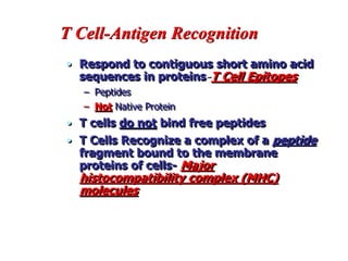 T Cell-Antigen Recognition
• Respond to contiguous short amino acid
sequences in proteins-T Cell Epitopes
– Peptides
– Not Native Protein
• T cells do not bind free peptides
• T Cells Recognize a complex of a peptide
fragment bound to the membrane
proteins of cells- Major
histocompatibility complex (MHC)
molecules
 