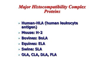 Major Histocompatibility Complex
Proteins
• Human-HLA (human leukocyte
antigen)
• Mouse: H-2
• Bovines: BoLA
• Equines: ELA
• Swine: SLA
• OLA, CLA, DLA, FLA
 