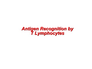 Antigen Recognition by
T Lymphocytes
 