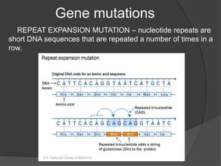 Repeat Gene Lecture 6.pptx