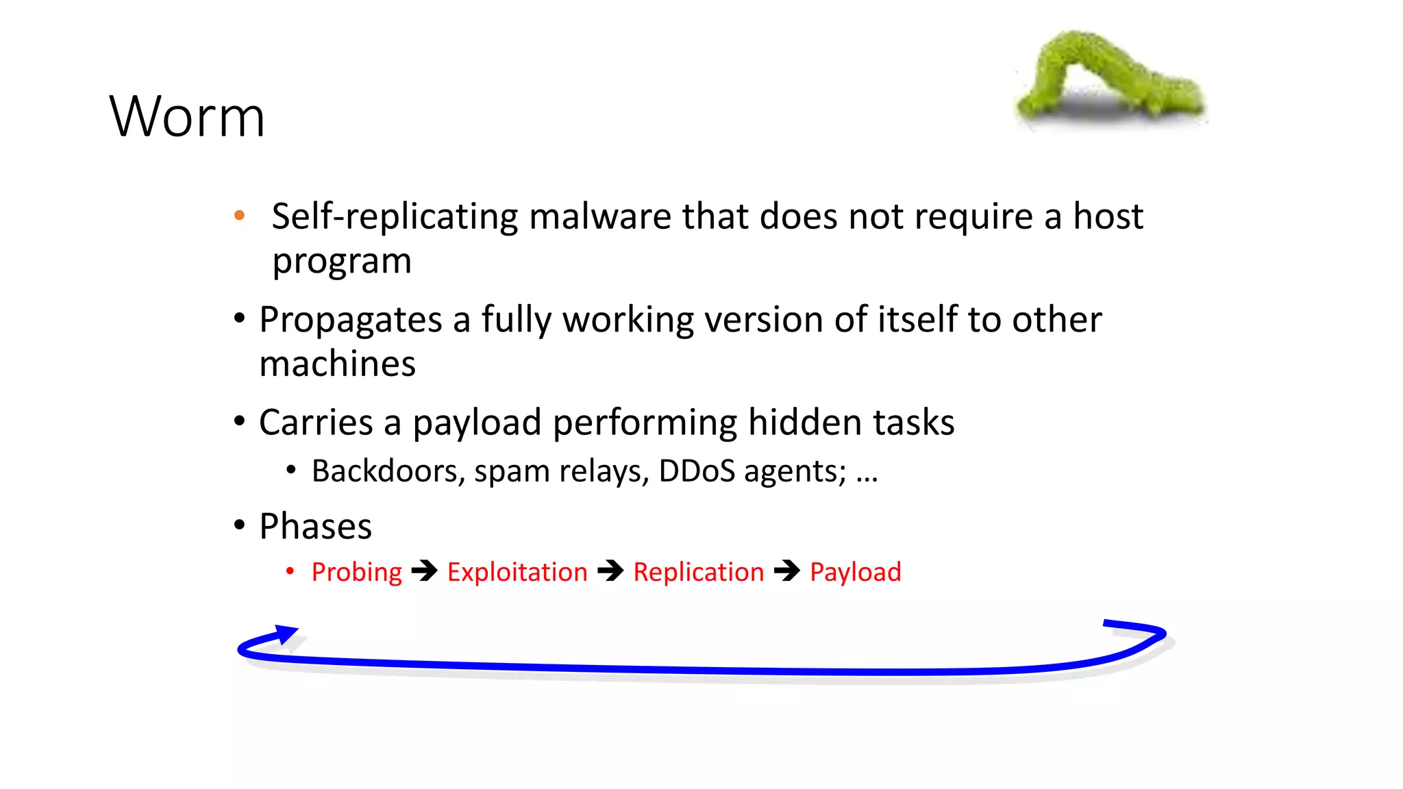 Worm
• Self-replicating malware that does not require a host
program
• Propagates a fully working version of itself to other
machines
• Carries a payload performing hidden tasks
• Backdoors, spam relays, DDoS agents; …
• Phases
• Probing  Exploitation  Replication  Payload
 