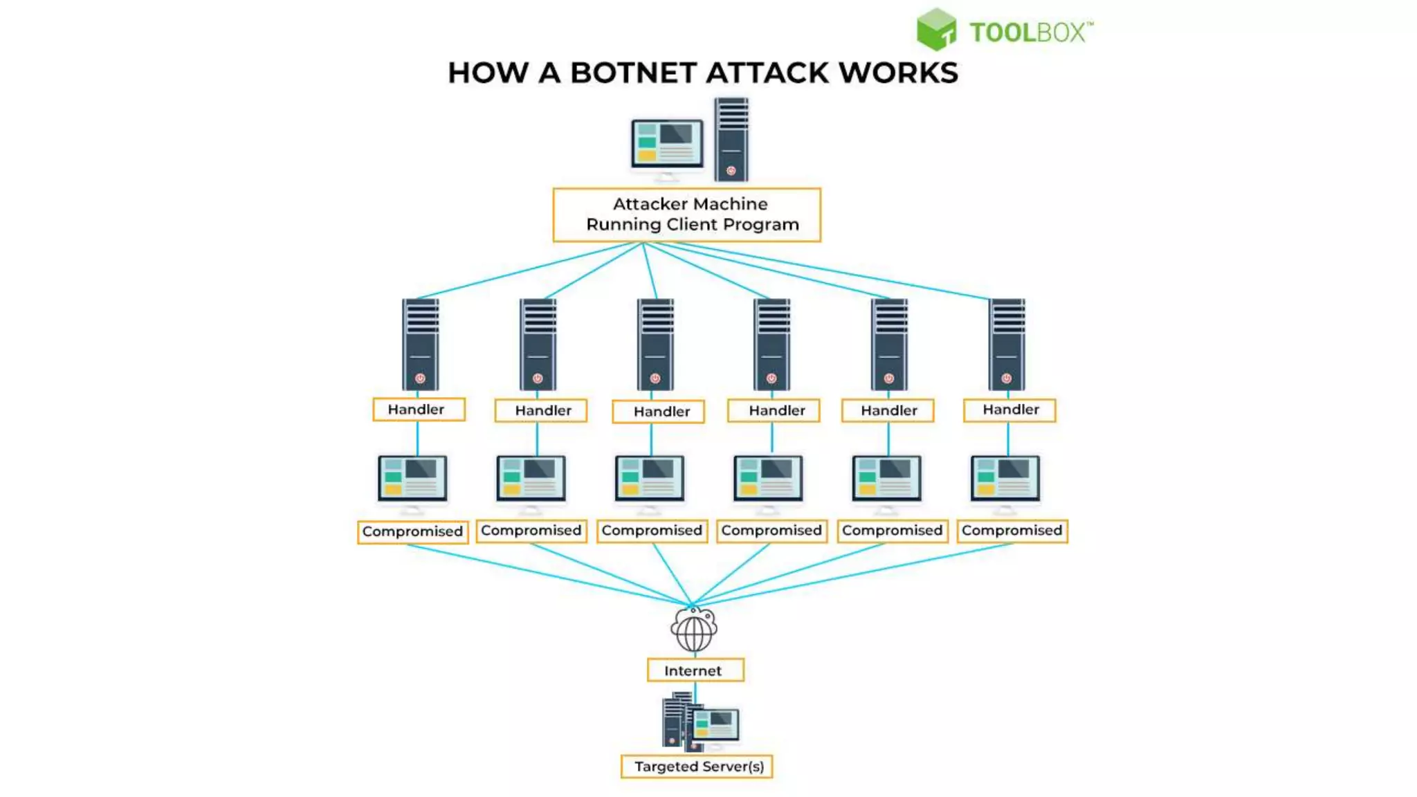 Botnets Attacks.pptx