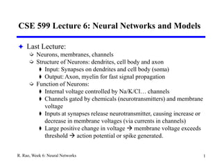 1
R. Rao, Week 6: Neural Networks
CSE 599 Lecture 6: Neural Networks and Models
 Last Lecture:
 Neurons, membranes, channels
 Structure of Neurons: dendrites, cell body and axon
 Input: Synapses on dendrites and cell body (soma)
 Output: Axon, myelin for fast signal propagation
 Function of Neurons:
 Internal voltage controlled by Na/K/Cl… channels
 Channels gated by chemicals (neurotransmitters) and membrane
voltage
 Inputs at synapses release neurotransmitter, causing increase or
decrease in membrane voltages (via currents in channels)
 Large positive change in voltage  membrane voltage exceeds
threshold  action potential or spike generated.
 
