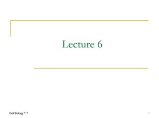 ٢٢٢
Cell Biology ١
Lecture 6
 