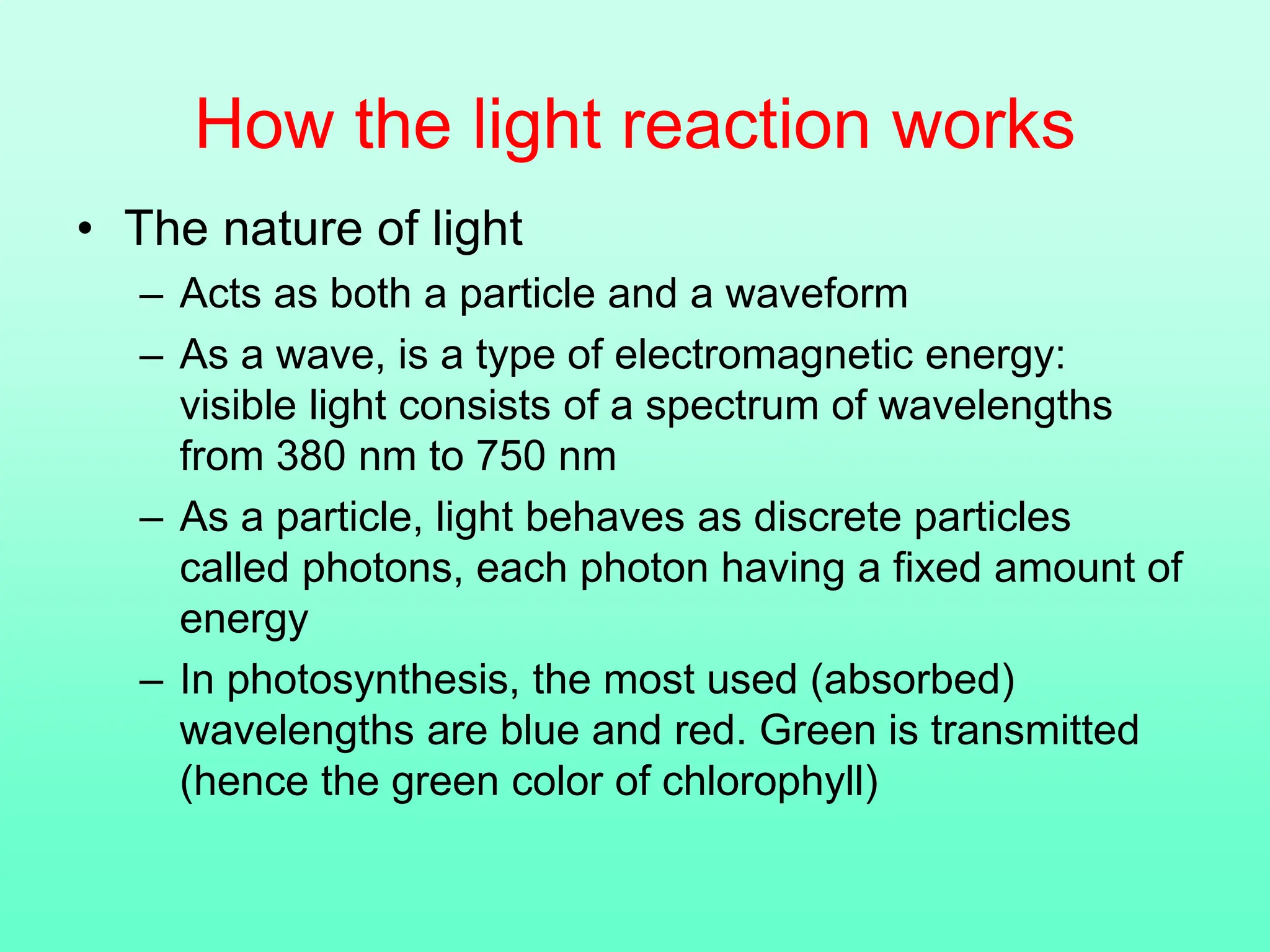 How the light reaction works
• The nature of light
– Acts as both a particle and a waveform
– As a wave, is a type of electromagnetic energy:
visible light consists of a spectrum of wavelengths
from 380 nm to 750 nm
– As a particle, light behaves as discrete particles
called photons, each photon having a fixed amount of
energy
– In photosynthesis, the most used (absorbed)
wavelengths are blue and red. Green is transmitted
(hence the green color of chlorophyll)
 
