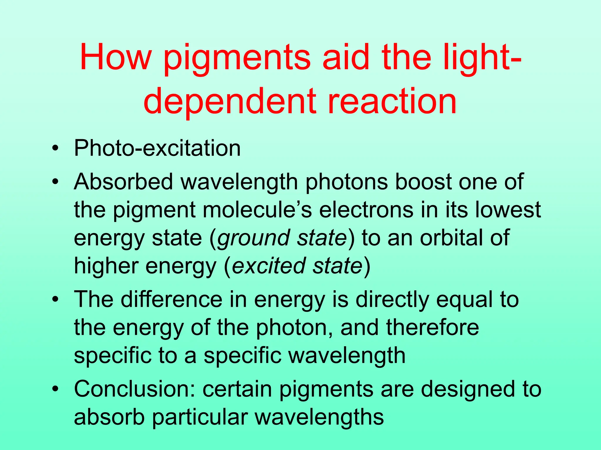 How pigments aid the light-
dependent reaction
• Photo-excitation
• Absorbed wavelength photons boost one of
the pigment molecule’s electrons in its lowest
energy state (ground state) to an orbital of
higher energy (excited state)
• The difference in energy is directly equal to
the energy of the photon, and therefore
specific to a specific wavelength
• Conclusion: certain pigments are designed to
absorb particular wavelengths
 