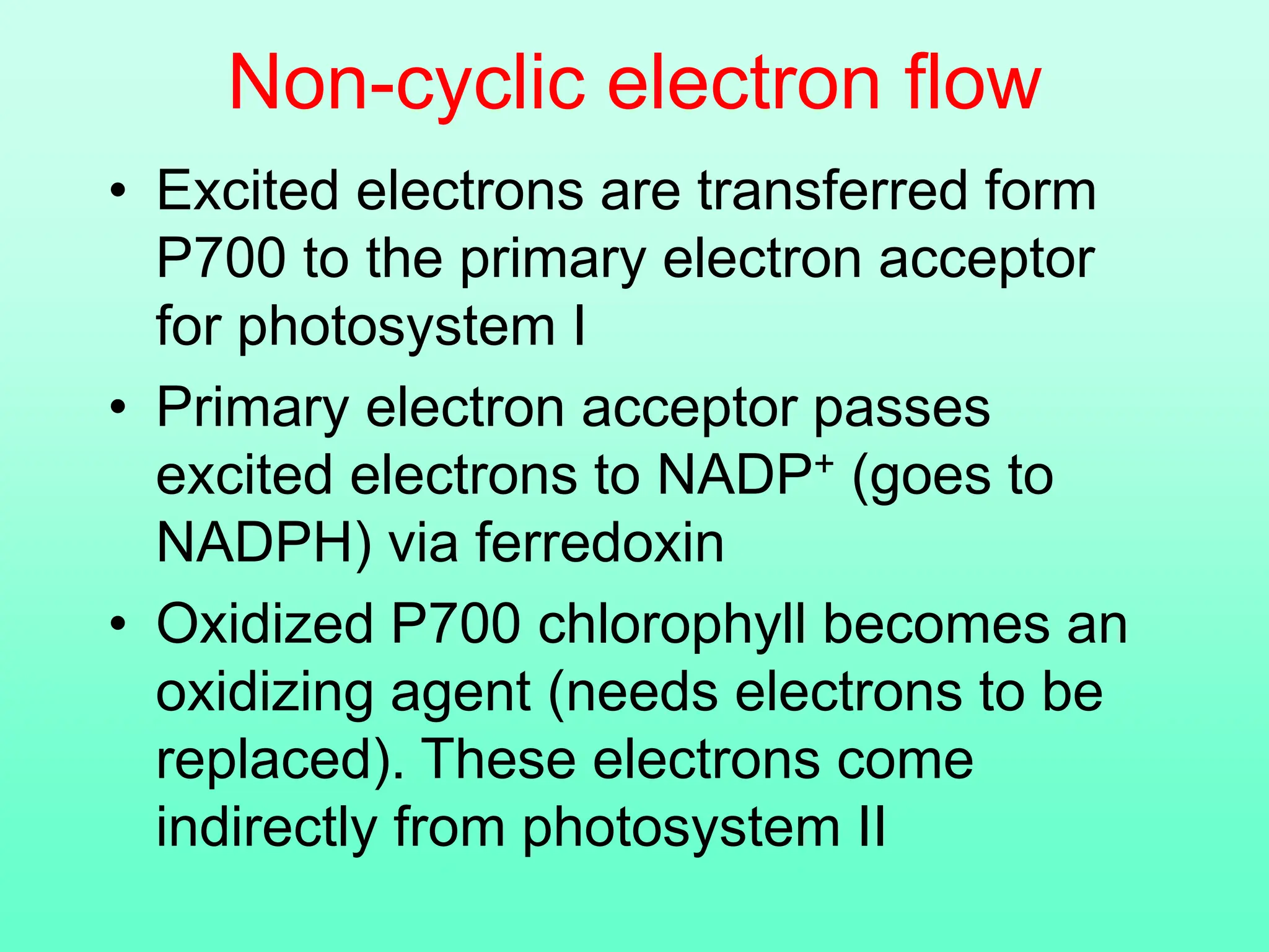 Non-cyclic electron flow
• Excited electrons are transferred form
P700 to the primary electron acceptor
for photosystem I
• Primary electron acceptor passes
excited electrons to NADP+ (goes to
NADPH) via ferredoxin
• Oxidized P700 chlorophyll becomes an
oxidizing agent (needs electrons to be
replaced). These electrons come
indirectly from photosystem II
 