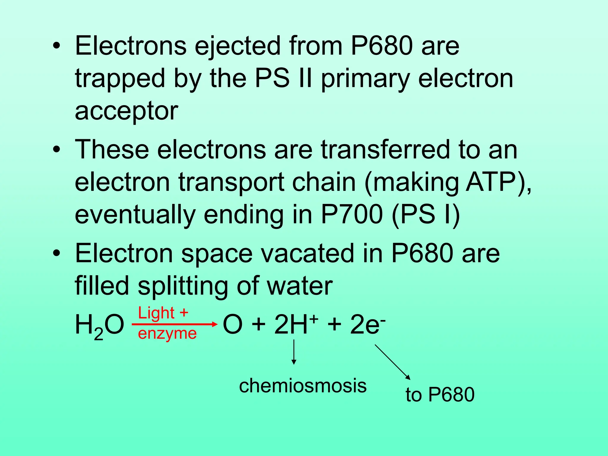 • Electrons ejected from P680 are
trapped by the PS II primary electron
acceptor
• These electrons are transferred to an
electron transport chain (making ATP),
eventually ending in P700 (PS I)
• Electron space vacated in P680 are
filled splitting of water
H2O O + 2H+ + 2e-
Light +
enzyme
to P680
chemiosmosis
 
