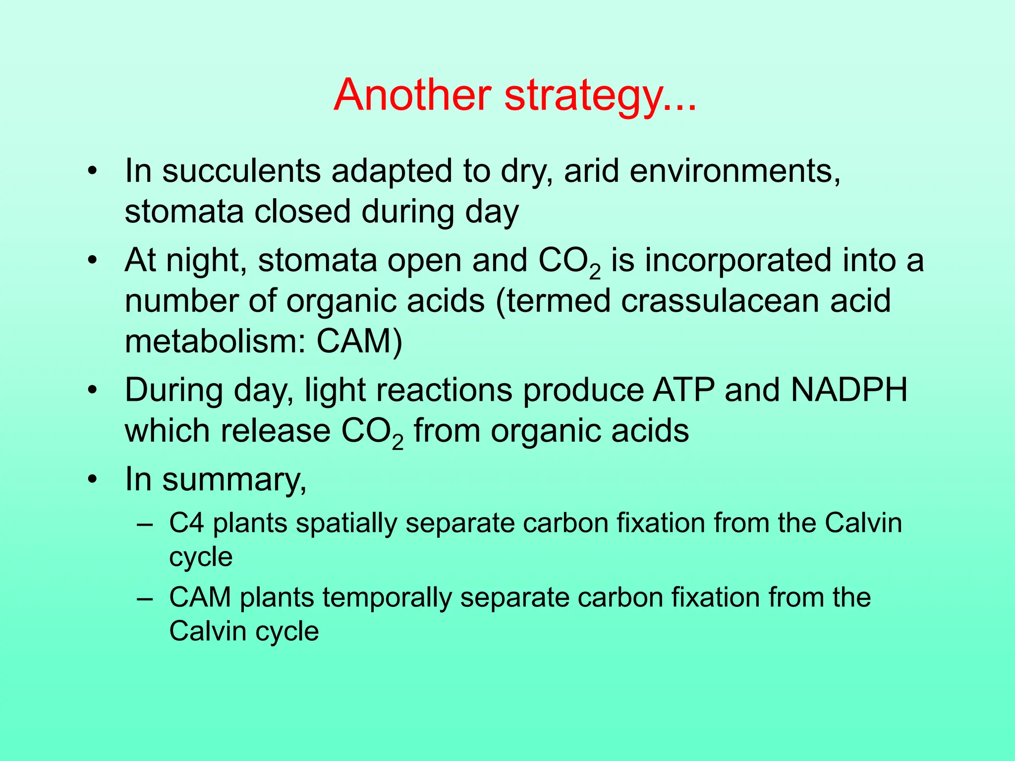 Another strategy...
• In succulents adapted to dry, arid environments,
stomata closed during day
• At night, stomata open and CO2 is incorporated into a
number of organic acids (termed crassulacean acid
metabolism: CAM)
• During day, light reactions produce ATP and NADPH
which release CO2 from organic acids
• In summary,
– C4 plants spatially separate carbon fixation from the Calvin
cycle
– CAM plants temporally separate carbon fixation from the
Calvin cycle
 