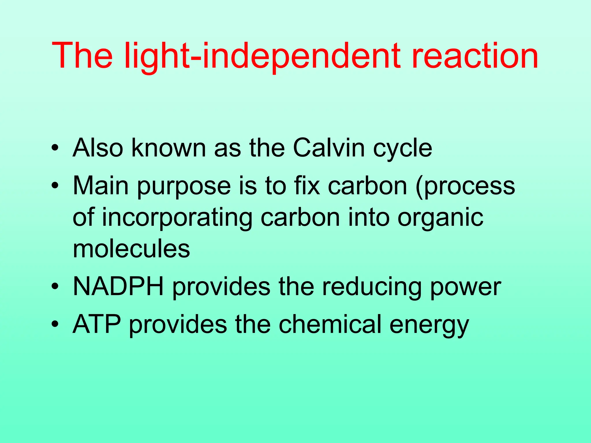The light-independent reaction
• Also known as the Calvin cycle
• Main purpose is to fix carbon (process
of incorporating carbon into organic
molecules
• NADPH provides the reducing power
• ATP provides the chemical energy
 