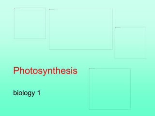 Photosynthesis
biology 1
 
