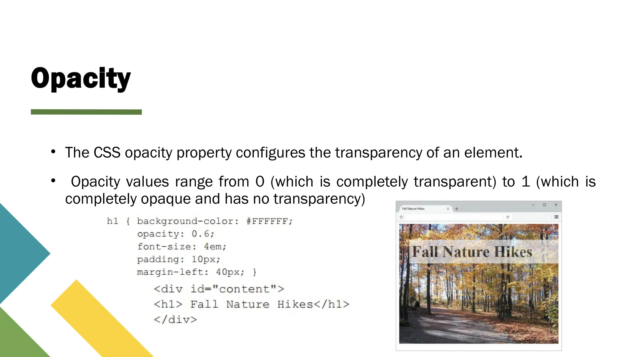 Opacity
• The CSS opacity property configures the transparency of an element.
• Opacity values range from 0 (which is completely transparent) to 1 (which is
completely opaque and has no transparency)
 