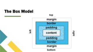 The Box Model
 