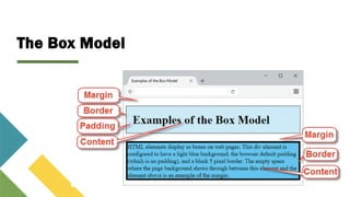 The Box Model
 