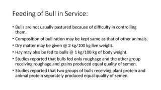 Bull Ration Lecture#6.pptxffffdddccgggffggbbbgggffcc | PPTX