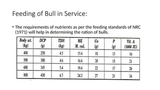 Bull Rashions Lecture#6.pptxffffdddccgggffggbbbgggffcc | PPTX
