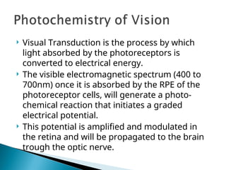 Comprehensive Overview of Human Eye Physiology and Visual System ...