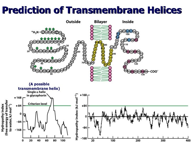 Lecture 6 7 lipids and membranes