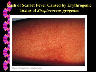 Lecture 6- Bacteria- Phathogenesis.ppt microbiology-bacteriology ...