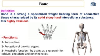 lecture hgthjhyhhy6uuuyuijuu6 - bone.pdf