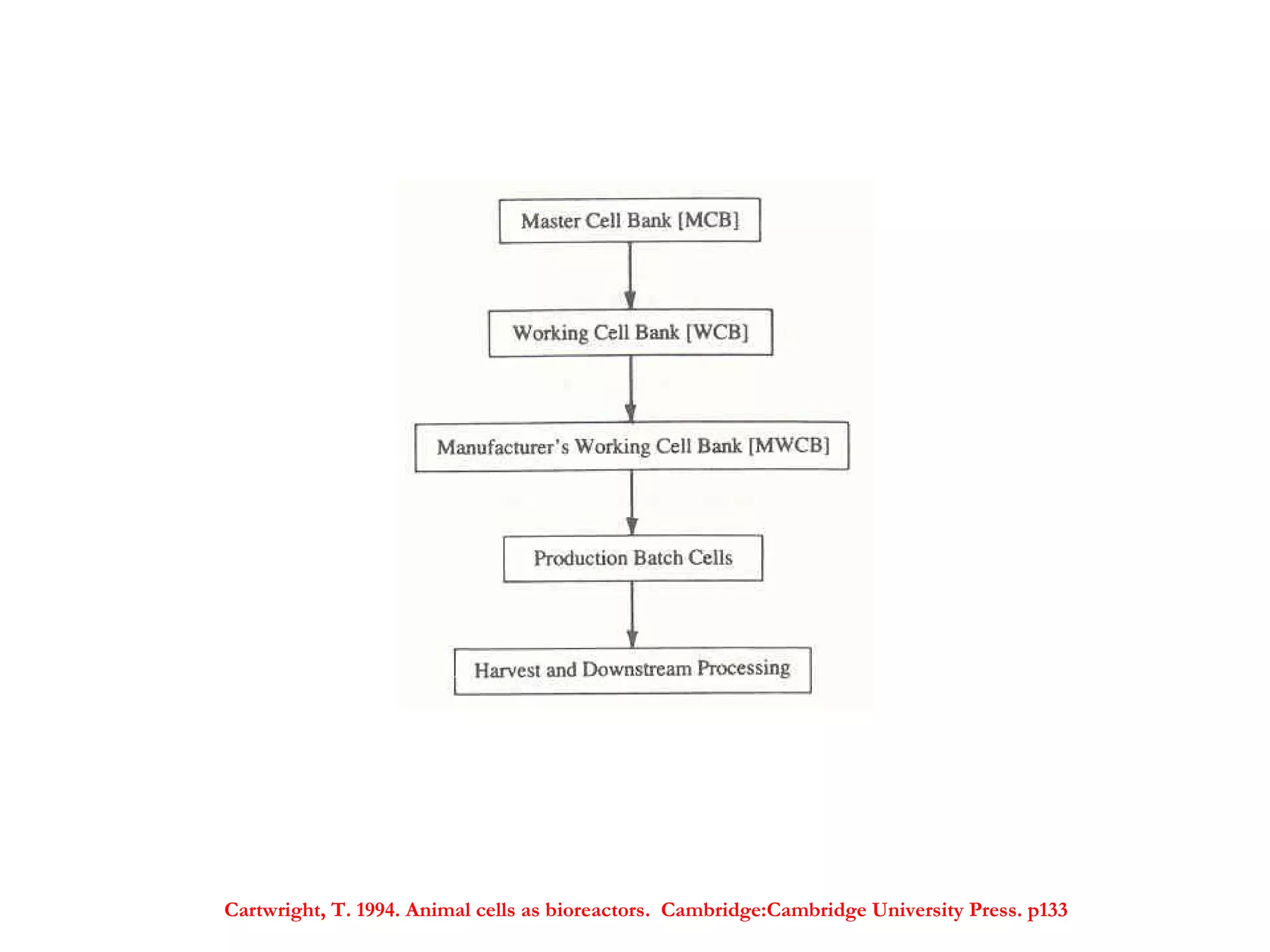 Cartwright, T. 1994. Animal cells as bioreactors.  Cambridge:Cambridge University Press. p133 