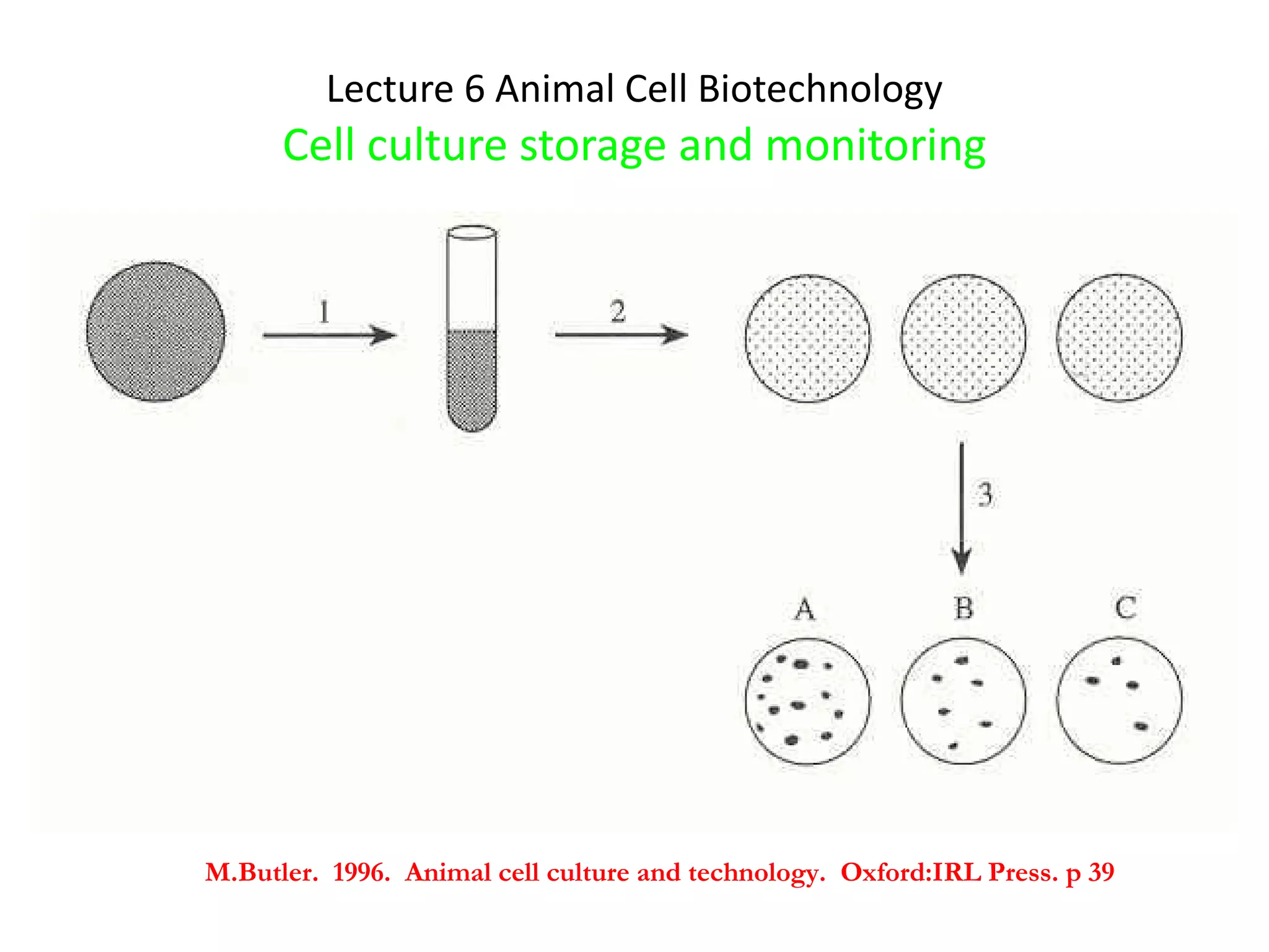 Lecture 6 Animal Cell Biotechnology Cell culture storage and monitoring M.Butler.  1996.  Animal cell culture and technology.  Oxford:IRL Press. p 39 
