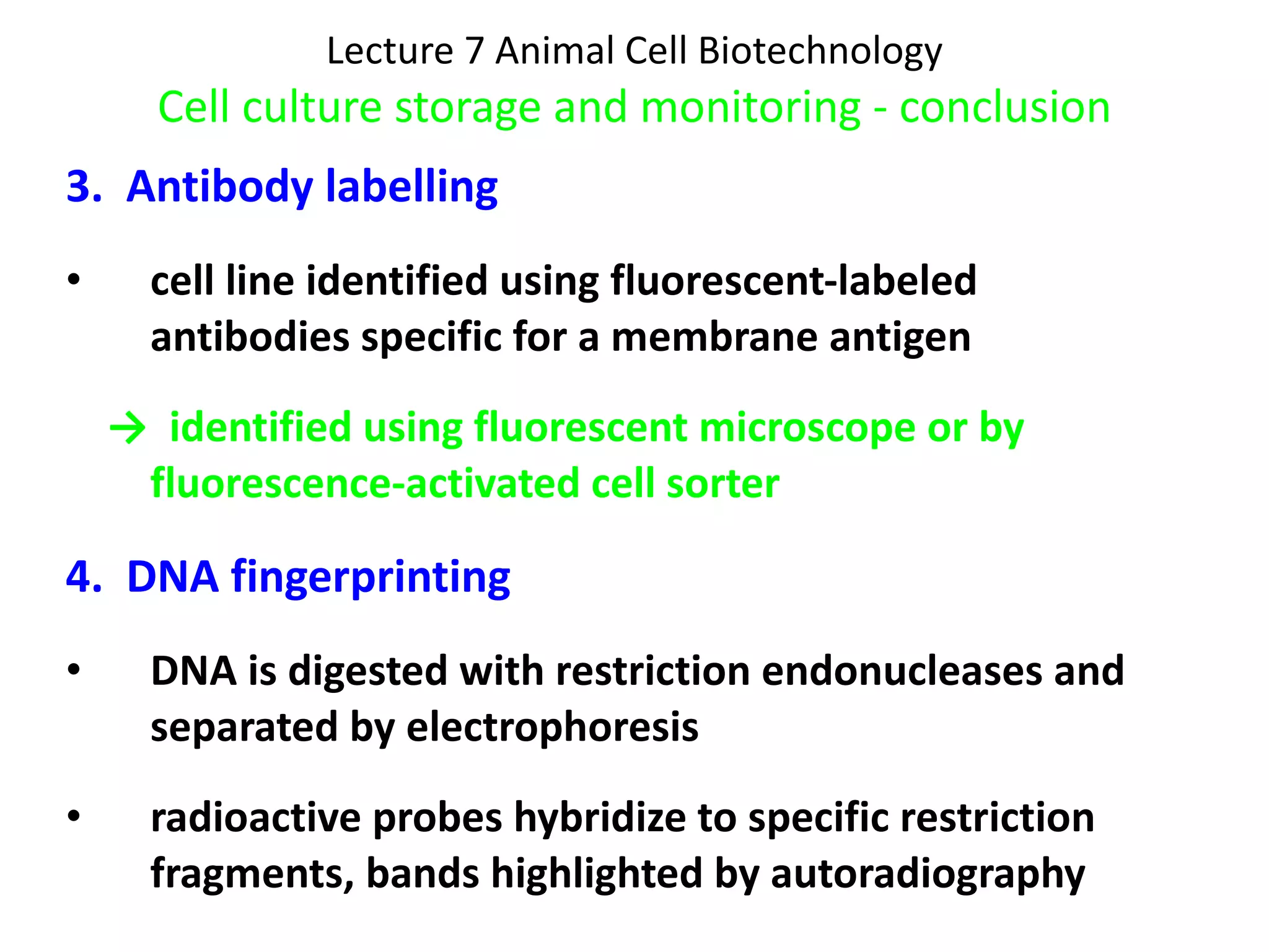 Lecture 7 Animal Cell Biotechnology Cell culture storage and monitoring - conclusion 3.  Antibody labelling cell line identified using fluorescent-labeled antibodies specific for a membrane antigen ->  identified using fluorescent microscope or by fluorescence-activated cell sorter 4.  DNA fingerprinting DNA is digested with restriction endonucleases and separated by electrophoresis radioactive probes hybridize to specific restriction fragments, bands highlighted by autoradiography 