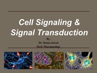 Cell Signaling &
Signal Transduction
By,
Dr. Huma Jawed
Ph.D, Pharmacology
 