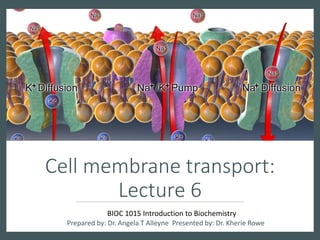 Cell membrane transport:
Lecture 6
Prepared by: Dr. Angela T Alleyne Presented by: Dr. Kherie Rowe
BIOC 1015 Introduction to Biochemistry
 