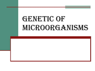 Genetic of microorganisms   