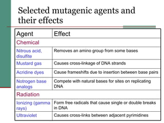 Selected mutagenic agents and their effects   Cause frameshifts due to insertion between base pairs Acridine dyes  Compete with natural bases for sites on replicating DNA Notrogen base analogs Radiation  Causes cross-links between adjacent pyrimidines  Ultraviolet  Form free radicals that cause single or double breaks in DNA Ionizing (gamma rays) Causes cross-linkage of DNA strands Mustard gas Removes an amino group from some bases  Nitrous acid, disulfite Chemical  Effect Agent  