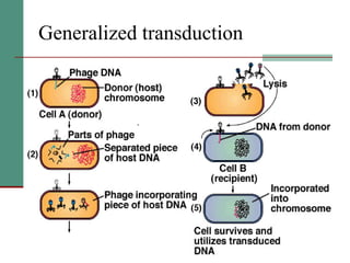 Generalized transduction   