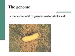 The genome   is the some total of genetic material of a cell 