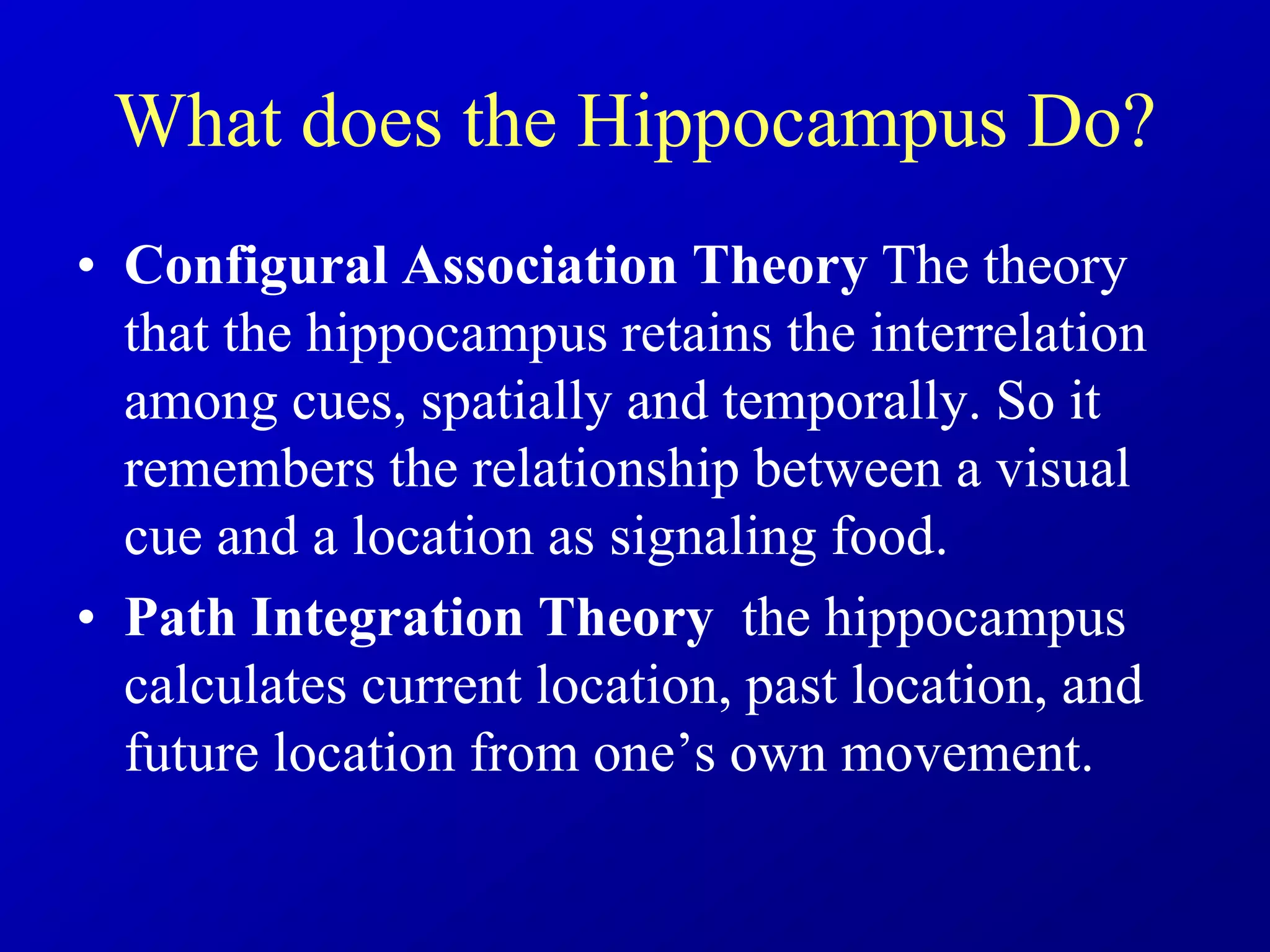 What does the Hippocampus Do?
• Configural Association Theory The theory
that the hippocampus retains the interrelation
among cues, spatially and temporally. So it
remembers the relationship between a visual
cue and a location as signaling food.
• Path Integration Theory the hippocampus
calculates current location, past location, and
future location from one’s own movement.
 