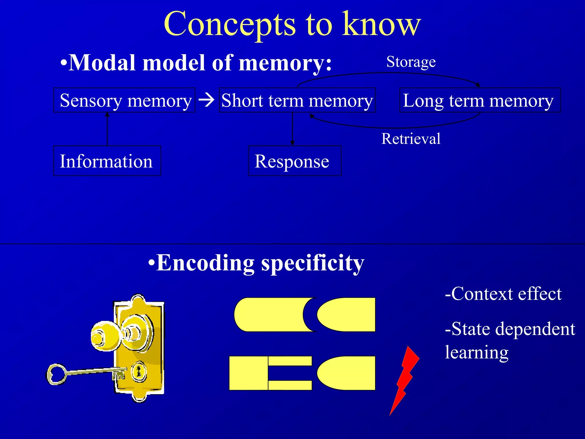 Concepts to know
•Encoding specificity
•Modal model of memory:
Sensory memory  Short term memory Long term memory
Information Response
Storage
Retrieval
-Context effect
-State dependent
learning
 