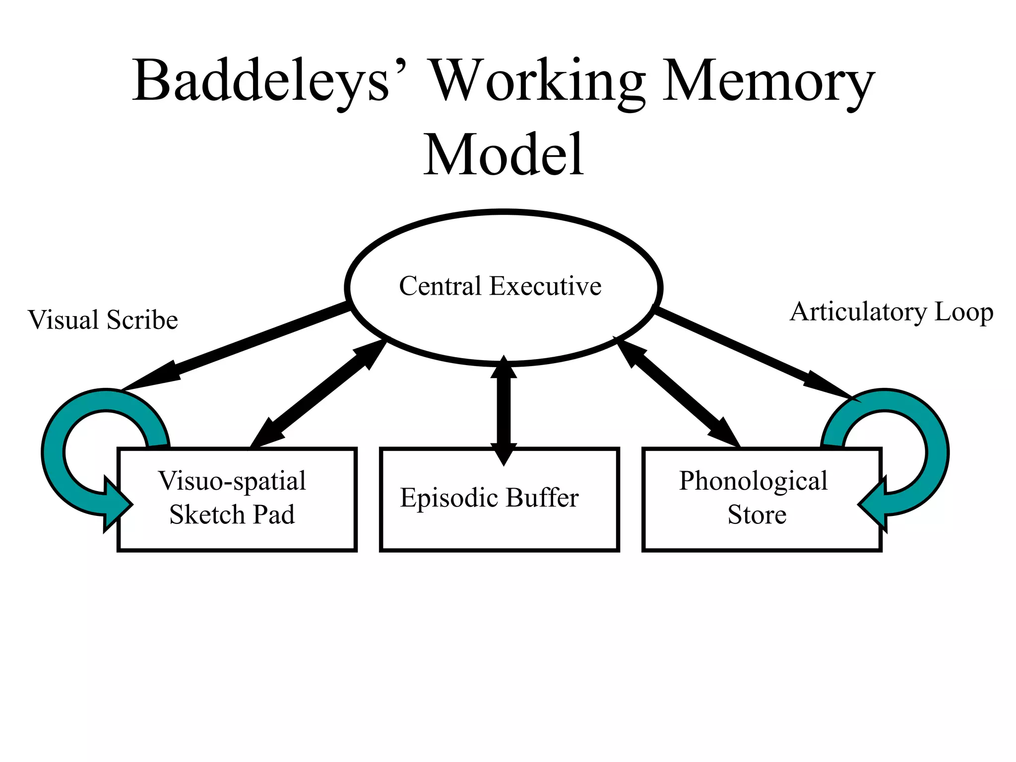 Baddeleys’ Working Memory
Model
Central Executive
Visuo-spatial
Sketch Pad
Episodic Buffer
Phonological
Store
Articulatory Loop
Visual Scribe
 