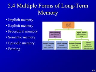 105
5.4 Multiple Forms of Long-Term
Memory
• Implicit memory
• Explicit memory
• Procedural memory
• Semantic memory
• Episodic memory
• Priming
 