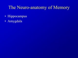 The Neuro-anatomy of Memory
• Hippocampus
• Amygdala
 