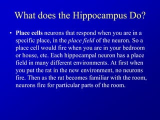 What does the Hippocampus Do?
• Place cells neurons that respond when you are in a
specific place, in the place field of the neuron. So a
place cell would fire when you are in your bedroom
or house, etc. Each hippocampal neuron has a place
field in many different environments. At first when
you put the rat in the new environment, no neurons
fire. Then as the rat becomes familiar with the room,
neurons fire for particular parts of the room.
 