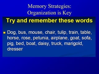 Memory Strategies:
Organization is Key
 