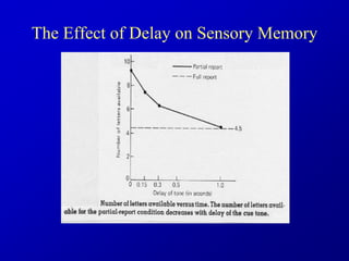 The Effect of Delay on Sensory Memory
 