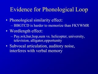 Evidence for Phonological Loop
• Phonological similarity effect:
– BBGTCD is harder to memorize than FKYWMR
• Wordlength effect:
– Pay,wit,bar,hop,sum vs. helicopter, university,
television, alligator,opportunity
• Subvocal articulation, auditory noise,
interferes with verbal memory
 