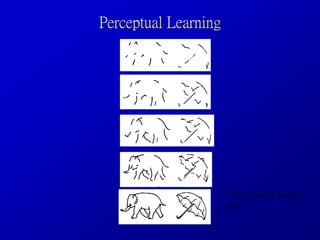 Perceptual Learning
Gollins partial pictures
test
 