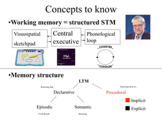 Concepts to know
•Working memory = structured STM
Phonological
loop
Visuospatial
sketchpad
Central
executive
LTM
Declarative Procedural
Episodic Semantic
•Memory structure
Implicit
Explicit
Knowing
Vivid Recall
Knowing that... Knowing how to...
 