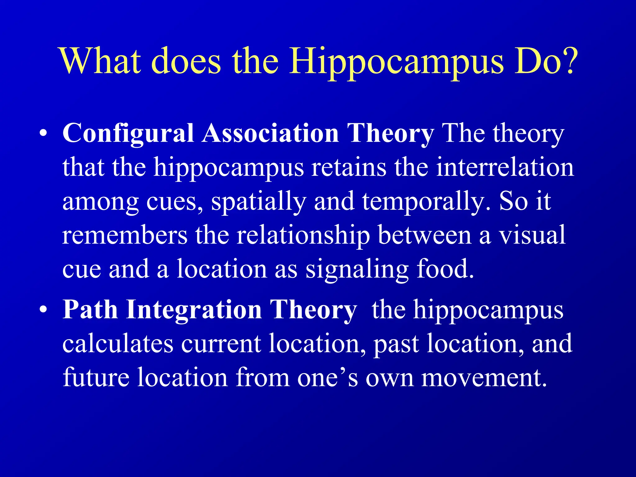 What does the Hippocampus Do?
• Configural Association Theory The theory
that the hippocampus retains the interrelation
among cues, spatially and temporally. So it
remembers the relationship between a visual
cue and a location as signaling food.
• Path Integration Theory the hippocampus
calculates current location, past location, and
future location from one’s own movement.
 