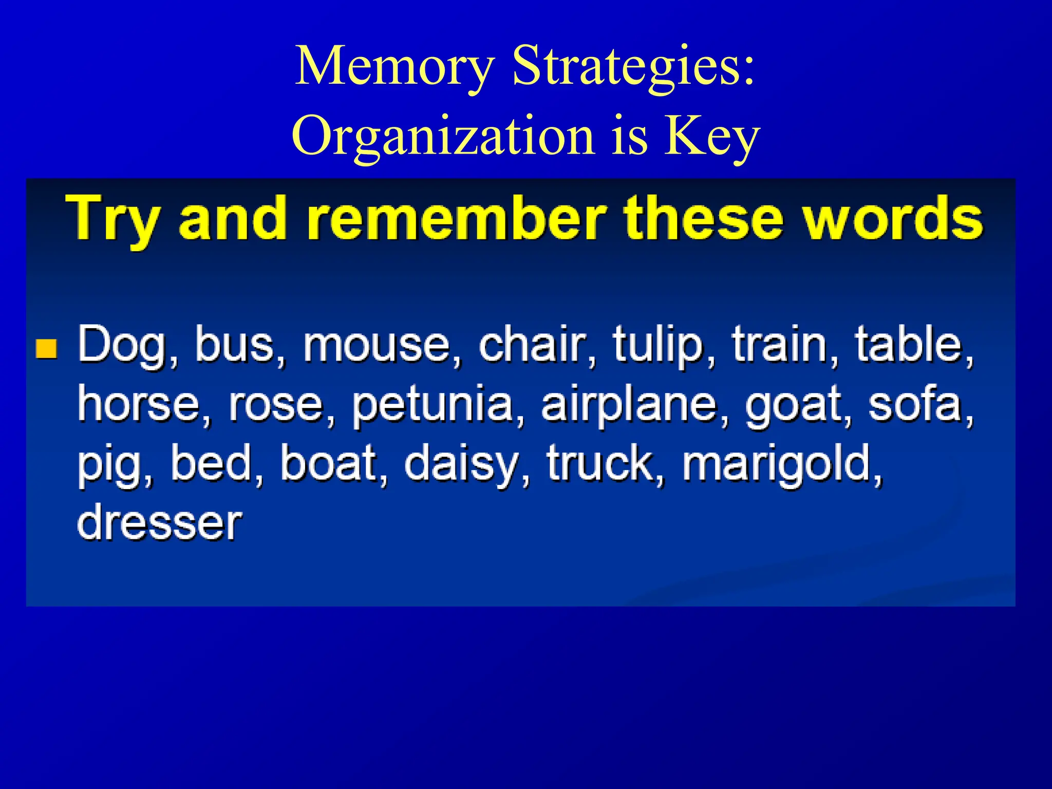Memory Strategies:
Organization is Key
 